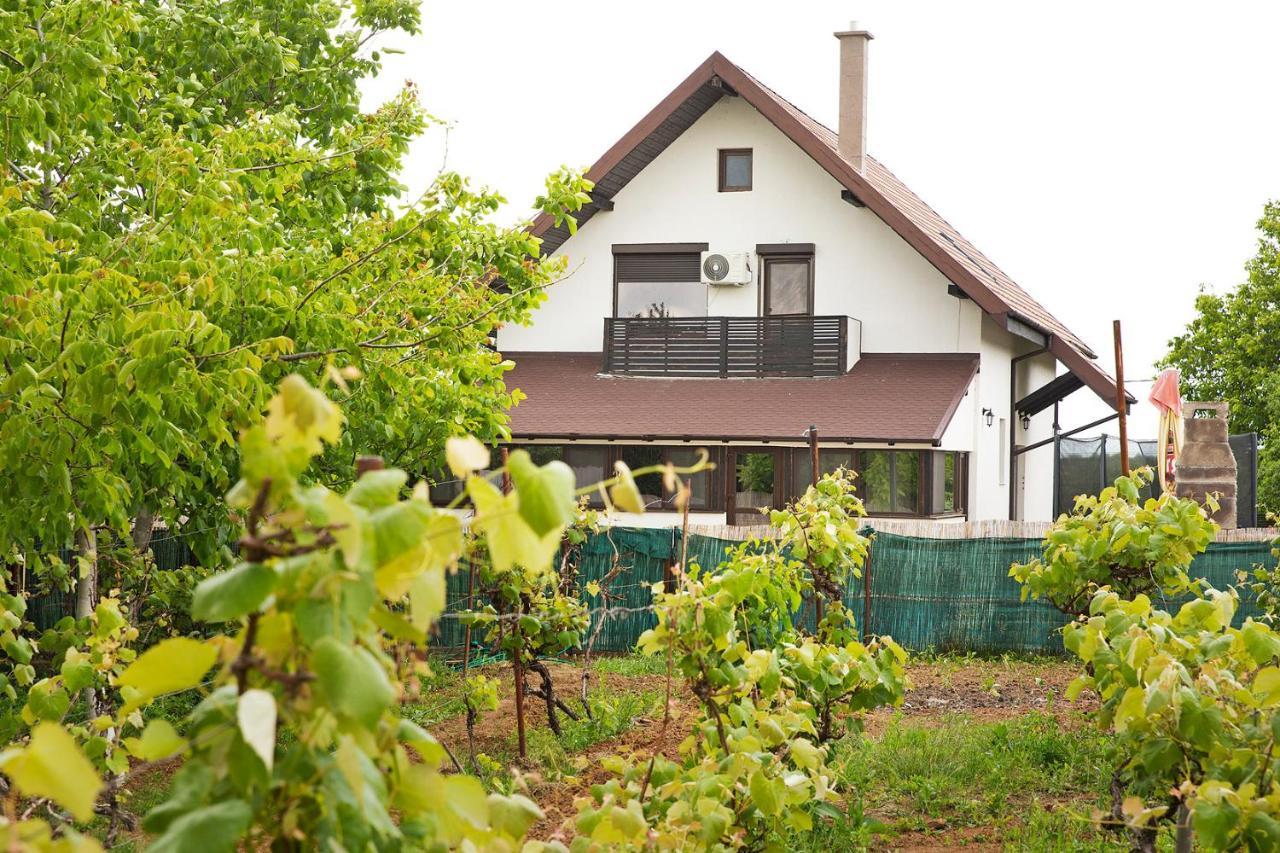 Casa Din Vie, Piscina Incalzita, Intreaga Locatie La 15Min De Centrul Orasului Oradea Villa Exterior photo